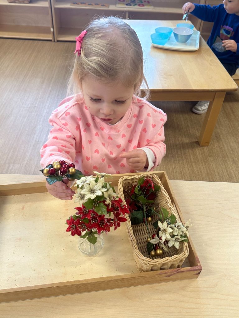 Toddler Program